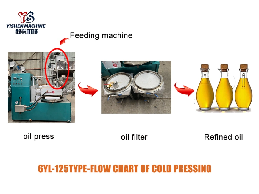 Mini Oil Extractor Machine Cold Press Hand